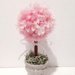 11084638_1486761544916973_1647326100_a