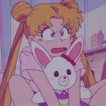 11378471_910086199029625_594875087_a