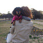 11055861_1631346100415043_1462118848_a