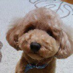 11379769_983986811659633_1374235112_a