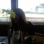 11420827_908266335886724_1293790653_a