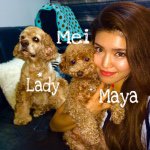 11254721_873115922754784_626998339_a