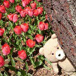 11176304_1588123381471702_722099610_a