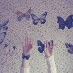 10661033_264940090368897_1859543280_a