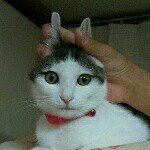 924456_649551288474670_1883613769_a