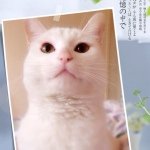 Profile_1213040859_75sq_1396188833