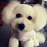 10724182_779331622123267_877547668_a