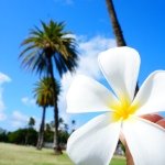 10598408_1447279712218122_1249559753_a