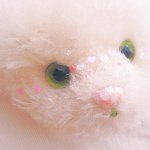 11377533_900999159958002_1919267147_a