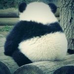 Profile_1159296613_75sq_1395331623