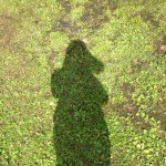 10691653_1489657701305710_1641783125_a