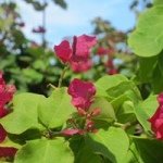 Profile_1278393029_75sq_1397967134