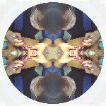 10990633_1374959306155208_705842688_a