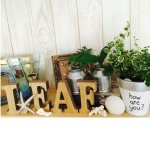 11333640_1643550579222801_963231512_a