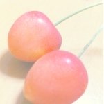 928334_744743482234381_1410986155_a