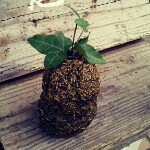 Profile_35148911_75sq_1333852142