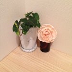 Profile_980976082_75sq_1399358342