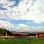 Profile_216086037_75sq_1381119308