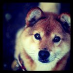 Profile_5016730_75sq_1310074226