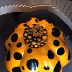 10554186_253242331550220_281106631_a