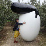 11357772_1454110804889299_168203592_a