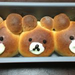 11032826_565831040186608_3541084_a