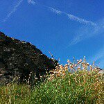 11248188_100483583631323_843560351_a