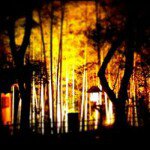 11141942_811167022294255_653412025_a