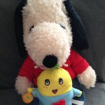 10895176_428008937324148_1730142031_a