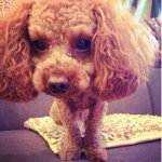 Profile_5879274_75sq_1343055656