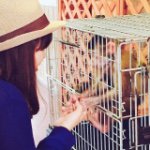 11410467_810852858983368_586160284_a