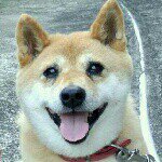 10958526_838215729572197_1925917766_a