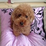 Profile_644282283_75sq_1383485072