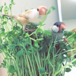 11246753_865164190217425_1889853118_a