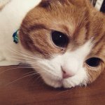 10895407_656076741170169_537996353_a