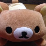 11018515_431226247035578_1669788692_a