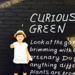 11333391_512524018886211_1901244508_a