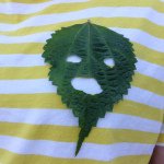 10727233_1492545597698464_285143584_a