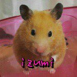 11379238_126052577727178_2094578970_a