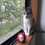 11377676_1752420298318095_1821841110_a