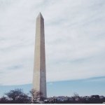 914801_1442909722664864_1025640183_a