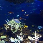 10507910_1513441325536353_924714830_a