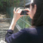 11326827_404786163047141_35575083_a