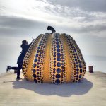 1538385_591206844348007_1415538311_a