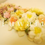 11325879_958136850873440_837705585_a