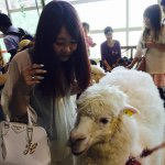 11372222_930739186985678_353465914_a