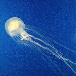 Profile_234900127_75sq_1382284175