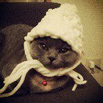 10899498_331869363668216_239643861_a