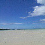 11313499_1436693939986330_565832027_a