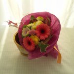 10724621_647456085351549_377707042_a